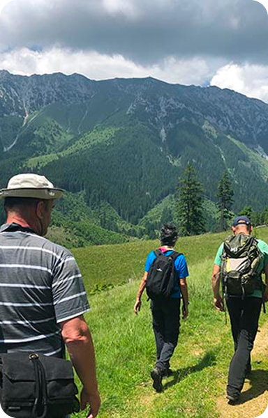 Exploring the Beauty of Brașov