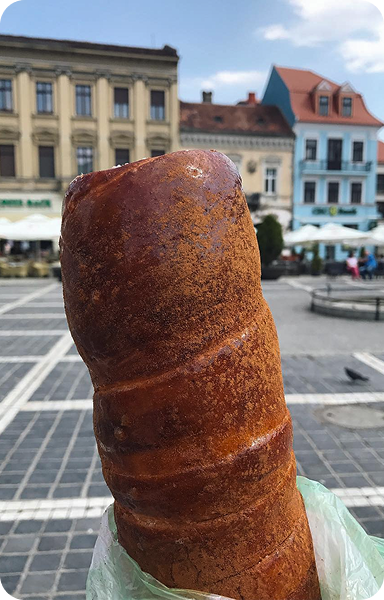 Adventure Activities in Brașov