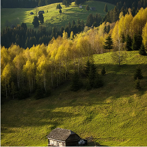 Food & Drink – Taste Brașov’s Finest